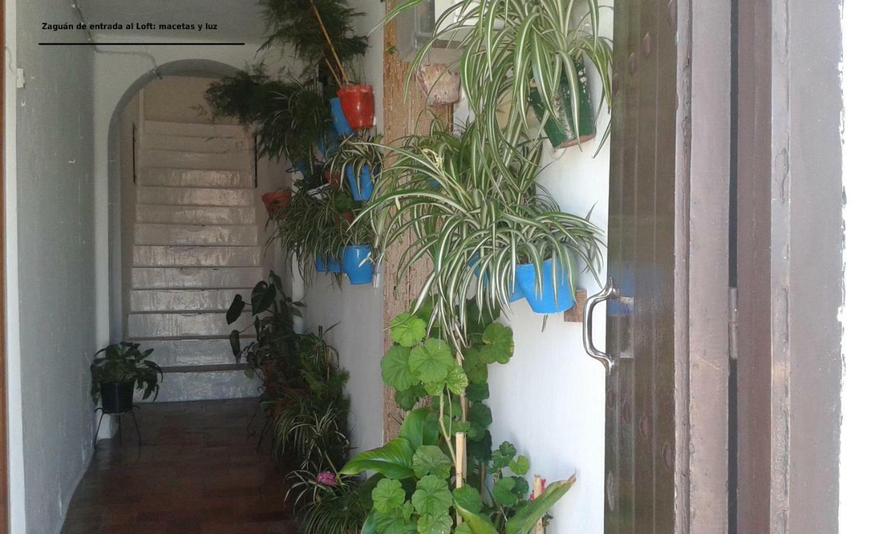 Dos Casitas, Dos Calles, - Loft De La Morena O Estudio Jr Вехер-де-ла-Фронтера Екстер'єр фото